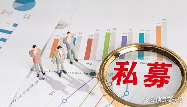 私募股权投资市场中有一个"适者生存"的现象,一个出色的私人经理人